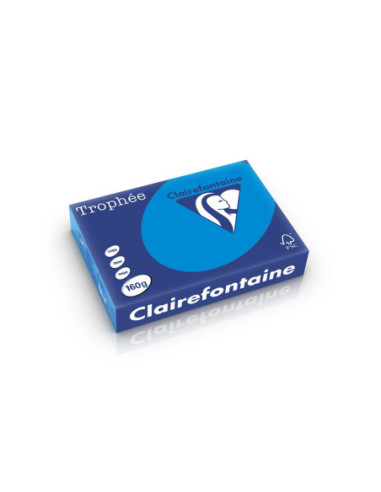 SD-HCO002/ALBASTRUINTENS,Carton A4 160 g/mp color intens 250 file/top Clairefontaine ALBASTRUINTENS