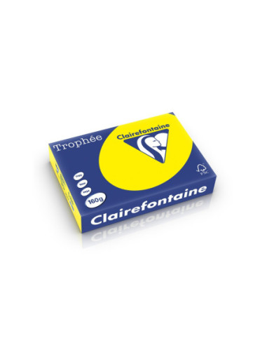 SD-HCO002/GALBENINTENS,Carton A4 160 g/mp color intens 250 file/top Clairefontaine GALBENINTENS