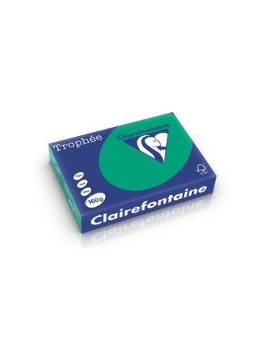 SD-HCO002/VERDEINCHIS,Carton A4 160 g/mp color intens 250 file/top Clairefontaine VERDEINCHIS