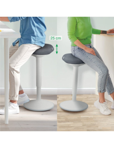 LZ65450085,Scaun ergonomic reglabil 57-82cm gri pastel Leitz