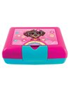 Cutie sandwich compartimentata S-COOL SC3408, 900 ml, Motiv happy rainbow