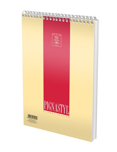 Bloc notes cu spira A4 Pigna Style, 60 file, matematica, Culori asortate
