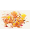 FC110072SD,Cutie lemn 72 creioane colorate polychromos Faber-castell
