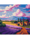 KHO6345,Pictura pe numere cu sasiu Peisaje Câmp de lavandă 30x30 cm KHO6345