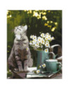 LW3146,Pictura pe numere 40x50 cm LW3146