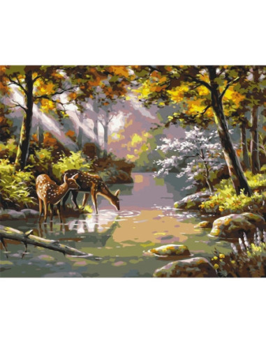 LW3008,Pictura pe numere cu sasiu 40x50 cm LW3008
