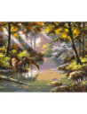 LW3008,Pictura pe numere cu sasiu 40x50 cm LW3008