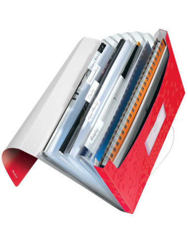 LZ45890026,Mapa plastic 6 compartimente rosie tip proiect wow Leitz