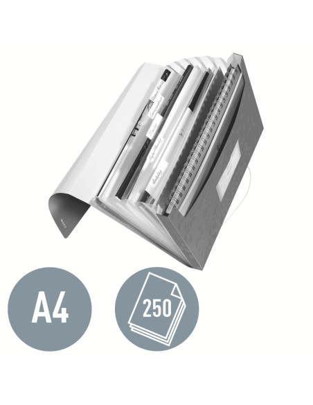 LZ45890026,Mapa plastic 6 compartimente rosie tip proiect wow Leitz