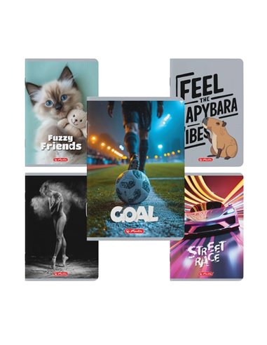 Caiet A5 Herlitz, 48 file, 70 g/mp, matematica, Motiv Megamix 3