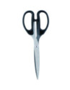 DLE6010,Foarfeca birou 21cm Deli