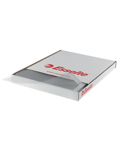 ES56066,Folie protectie a4 cristal 55 microni 100/top Esselte