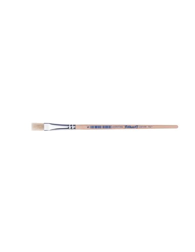Pensula 613f par porc m6/buc - Set 12