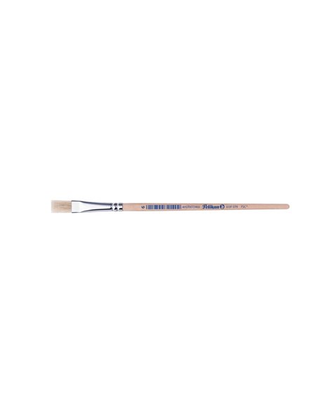 Pensula 613f par porc m6/buc - Set 12