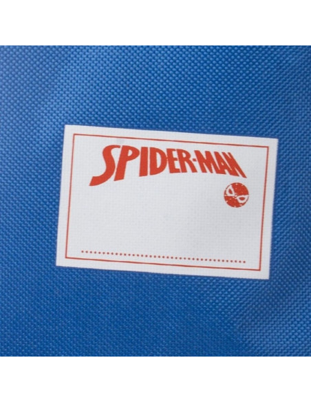 G792,Sac incaltaminte pentru copii Cerda Spiderman 630107, albastru cu verde, 27x33x1cm