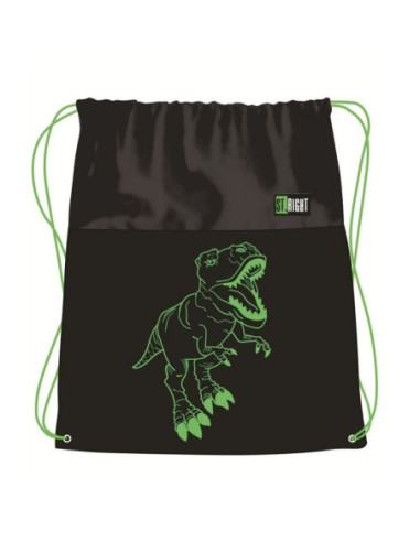 S2794,Sac incaltaminte pentru copii St.Majewski St. Right Reflective T-Rex, 668029