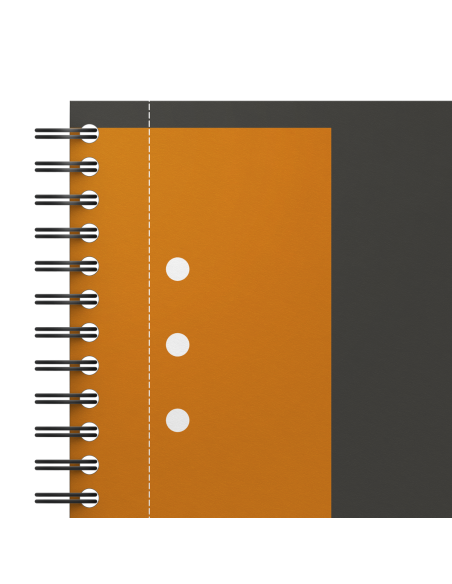 100102880-5,Set 5 x Agenda organizator Oxford International Active Book A5+, 80 file, patratele 5 x 5 mm, spirala dubla, Gri