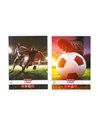 Caiet Herlitz A4, 80 file, 70g/mp, dictando, colturi rotunjite, Motiv Fotbal