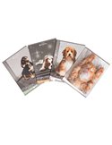Caiet Tip 2 Elisa, 36 file, 80g/mp, coperta carton, Motiv sweet pets