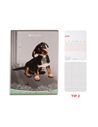 Caiet Tip 2 Elisa, 36 file, 80g/mp, coperta carton, Motiv sweet pets