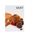 Caiet Tip 1 Elissa, 36 file, 80g/mp, coperta carton, Motiv baby pets
