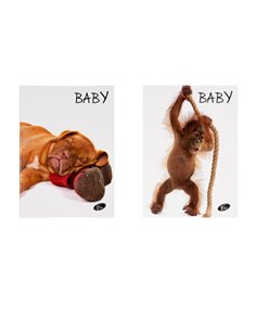 Caiet Tip 1 Elissa, 36 file, 80g/mp, coperta carton, Motiv baby pets