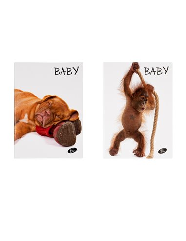 Caiet Tip 1 Elissa, 36 file, 80g/mp, coperta carton, Motiv baby pets