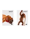 Caiet Tip 1 Elissa, 36 file, 80g/mp, coperta carton, Motiv baby pets