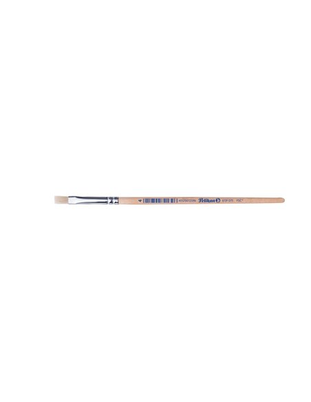 Pensula 613f par porc m4/buc - Set 12