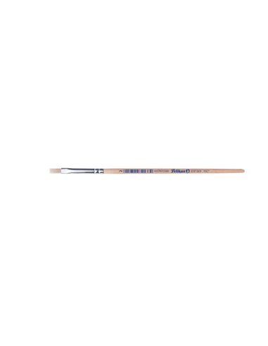 Pensula 613f par porc m2/buc - Set 12