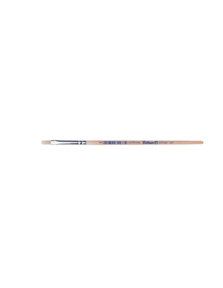 Pensula 613f par porc m2/buc - Set 12