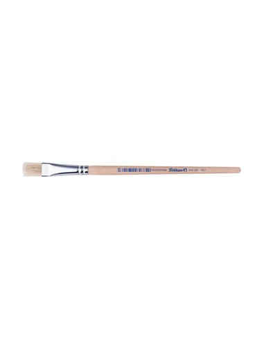 Pensula 613f par porc m20/buc - Set 6