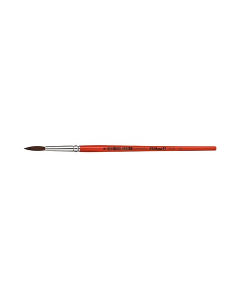 Pensula 23 lacuita varf rotund m6/buc - Set 12
