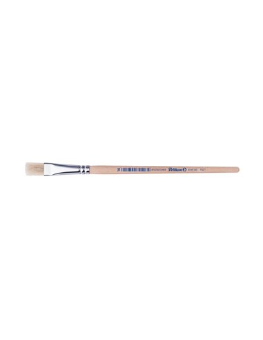 Pensula 613f par porc m16/buc - Set 12