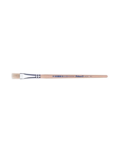 Pensula 613f par porc m18/buc - Set 6