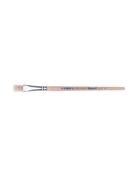 Pensula 613f par porc m18/buc - Set 6