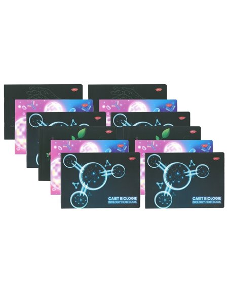Set 12 caiete geografie A4 Daco, 24 file, 70 g/mp, coperta plastic 