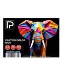 Carton color A4 Paperland PP-11300056, 160 g/mp, 25 coli, Mov