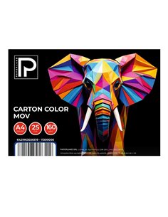 Carton color A4 Paperland PP-11300056, 160 g/mp, 25 coli, Mov