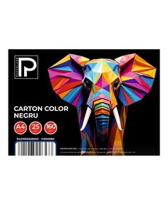 Carton color A4 Paperland PP-11300080, 160 g/mp, 25 coli, Negru