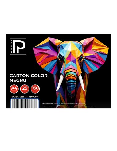 Carton color A4 Paperland PP-11300080, 160 g/mp, 25 coli, Negru