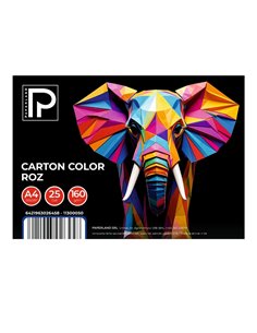 Carton color A4 Paperland PP-11300050, 160 g/mp, 25 coli, Roz