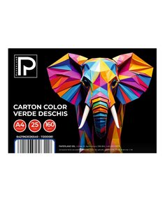 Carton color A4 Paperland PP-11300081, 160 g/mp, 25 coli, Verde deschis