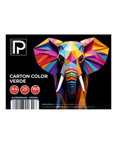 Carton color A4 Paperland PP-11300054, 160 g/mp, 25 coli, Verde