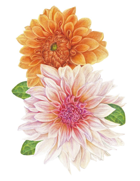 Creioane colorate polychromos Faber-Castell FC110014SD, 140 culori 