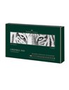 FC119067,Set 10 piese editie limitata beginner to master Faber-Castell 9000