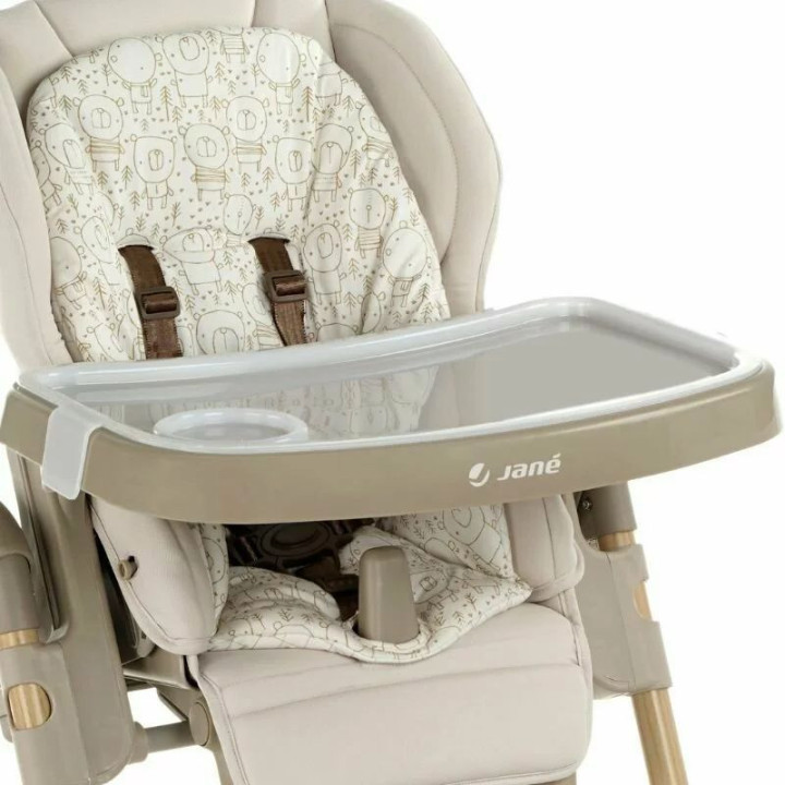 BN-8420421087480,Scaun de masa si Balansoar, Jane, Mila 2 in 1, Transformabil, Multifunctional, 0 luni+, Conform cu standardele 