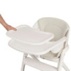 BN-LO-CELIA_CLOSE&COSY,Scaun de masa multifunctional Celia Close&Cosy, Lionelo, Din lemn de fag, 6 luni- adult, Reglabil pe inal