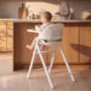 BN-LO-CELIA_CLOSE&COSY,Scaun de masa multifunctional Celia Close&Cosy, Lionelo, Din lemn de fag, 6 luni- adult, Reglabil pe inal