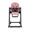 BN-361791,Scaun de masa, Petite&Mars, Tasty, Multifunctional 3 in 1, Pana la 15 kg, Reglabil pe inaltime in 7 pozitii, Spatar re